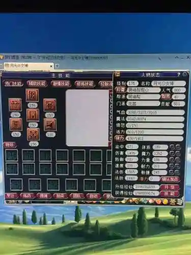 梦幻西游新区5开龙宫功率插图