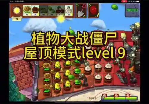 植物大战僵尸第9天三星攻略_1插图1