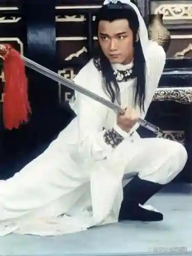 杨康的武器，杨康的武功是什么插图1