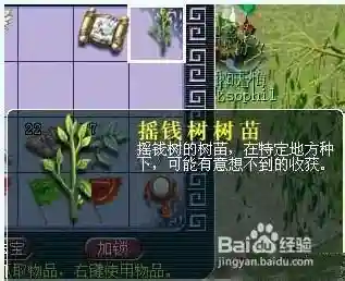梦幻西游摇钱树在哪里，梦幻西游的摇钱树是在哪里种树的-插图1