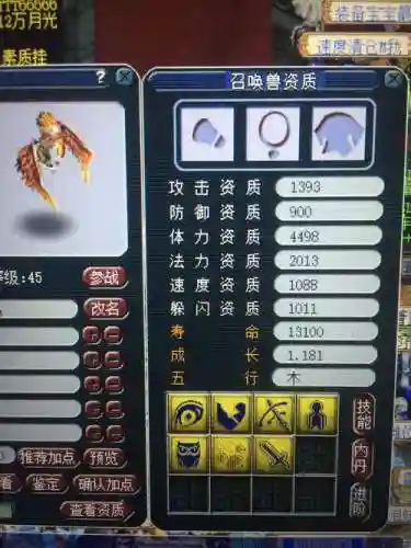 梦幻西游45级去哪领雷鸟人，梦幻西游进阶雷鸟人插图