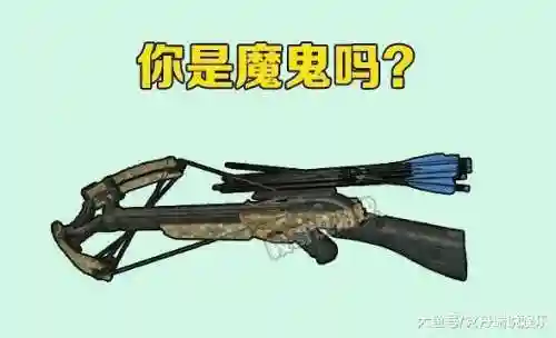 绝地求生弩能装备什么，绝地求生弩的伤害插图1