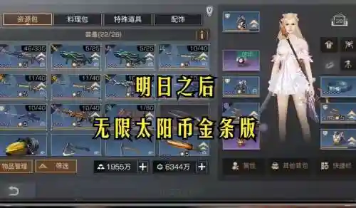 无限太阳装备展示，100版本无限太阳插图