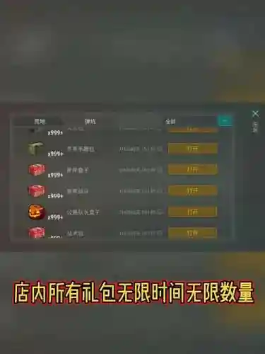 地球末日攻略怎么得箱子，地球末日箱子洗完之后去哪了插图1