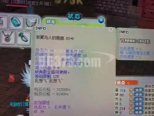 希望OL猎人装备图片，希望ol猎人需要买飞镖吗插图1
