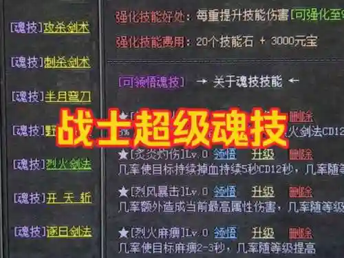 热血传奇手游81级技能多少钱，热血传奇手游技能满级多少插图1