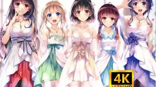 路人女主攻略，路人女主攻略大全插图1
