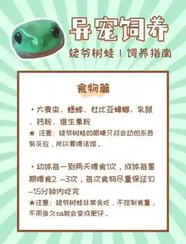 养蛙攻略破解中文版，养蛙游戏叫什么名字插图1
