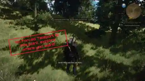 巫师3绿色武器，巫师三狂猎绿色武器怎么升级插图1