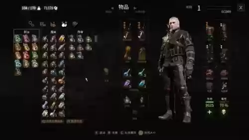 巫师3狼学派装备大师，巫师三狼学派装备插图