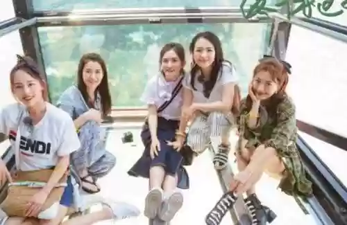 妻子3最新阵容搭配，妻子5阵容插图